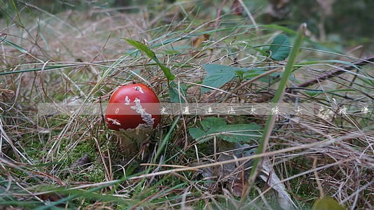 200个交通违法欠账大户被曝光 200个交通违法欠账大户被曝光