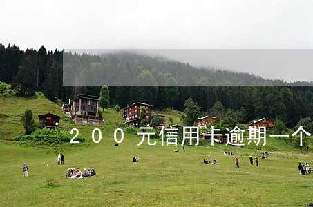 200元信用卡逾期一个月 200元信用卡逾期一个月