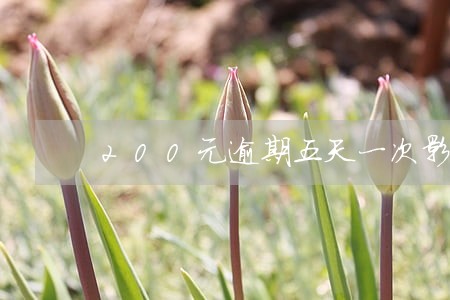 200元逾期五天一次影响 200元逾期五天一次影响