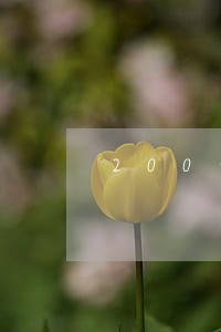 200元逾期影响贷款利率 200元逾期影响贷款利率