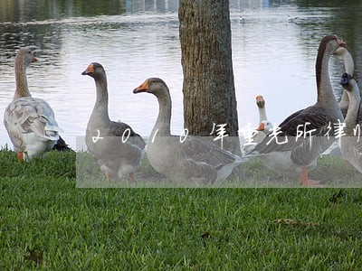2010年重光所律师团队 2010年重光所律师团队