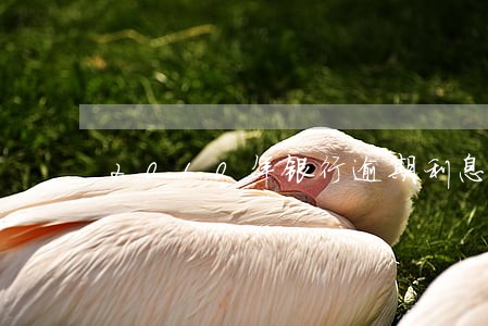 2010年银行逾期利息是多少 2010年银行逾期利息是多少