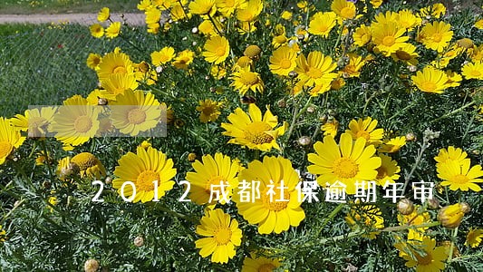 2012成都社保逾期年审 2012成都社保逾期年审