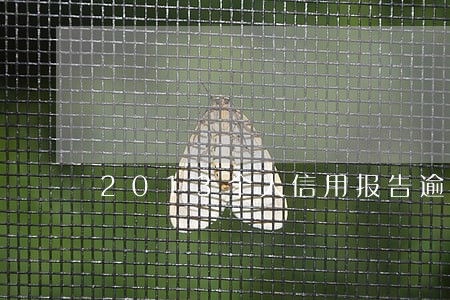 2013个人信用报告逾期 2013个人信用报告逾期