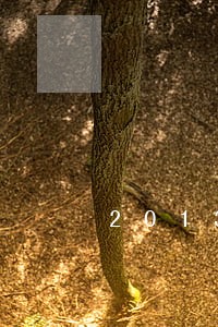 2013年11月信用卡逾期 2013年11月信用卡逾期