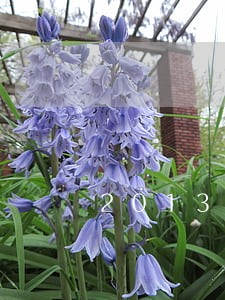 2013年3月逾期结清后