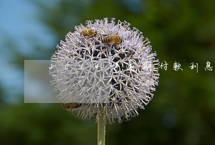 2014年逾期付款利息 2014年逾期付款利息