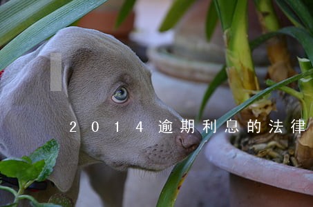 2014逾期利息的法律规定 2014逾期利息的法律规定