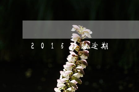 2015多融逾期