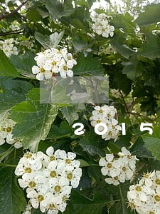 2015年人人贷逾期率 2015年人人贷逾期率