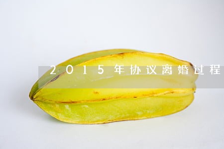2015年协议离婚过程 2015年协议离婚过程