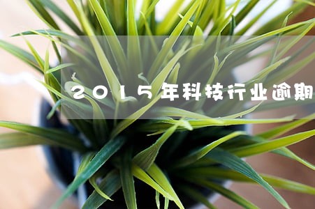 2015年科技行业逾期情况