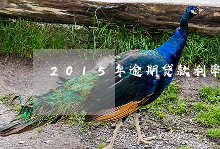 2015年逾期贷款利率
