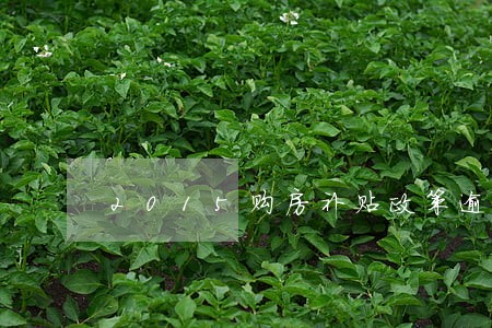 2015购房补贴政策逾期补办 2015购房补贴政策逾期补办