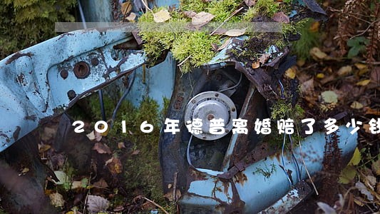 2016年德普离婚赔了多少钱 2016年德普离婚赔了多少钱
