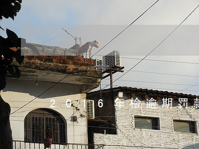 2016年检逾期罚款多少 2016年检逾期罚款多少