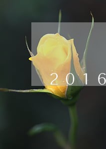 2016年逾期半年未偿 2016年逾期半年未偿