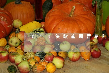 2016贷款逾期罚息利率