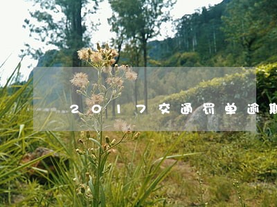 2017交通罚单逾期 2017交通罚单逾期