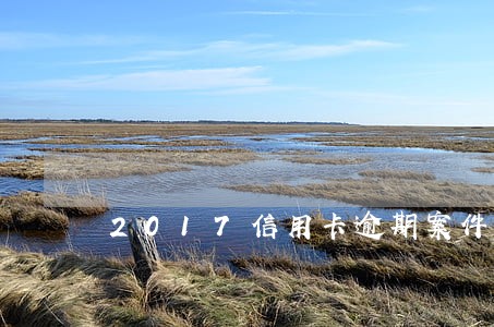 2017信用卡逾期案件