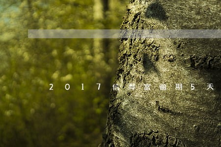 2017信而富逾期5天 2017信而富逾期5天