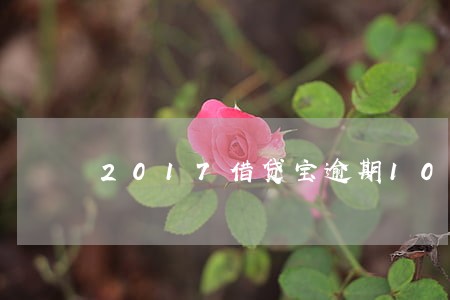 2017借贷宝逾期10万 2017借贷宝逾期10万