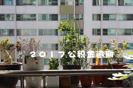 2017公积金逾期