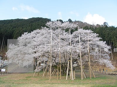 2017内蒙古逾期债务 2017内蒙古逾期债务