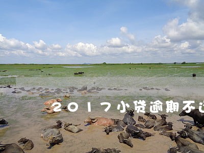 2017小贷逾期不还经历