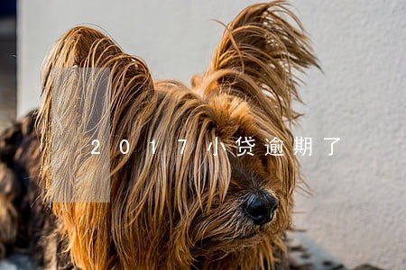 2017小贷逾期了 2017小贷逾期了