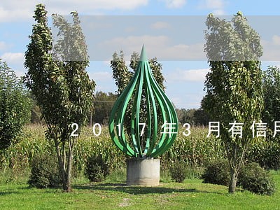 2017年3月有信用卡逾期 2017年3月有信用卡逾期