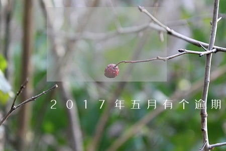 2017年五月有个逾期 2017年五月有个逾期