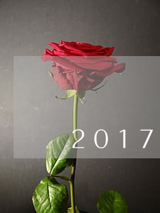 2017年以后逾期抵扣增值税 2017年以后逾期抵扣增值税