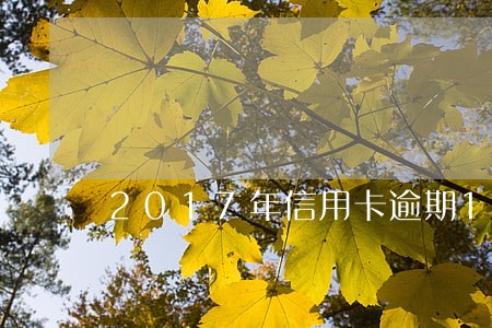 2017年信用卡逾期14元