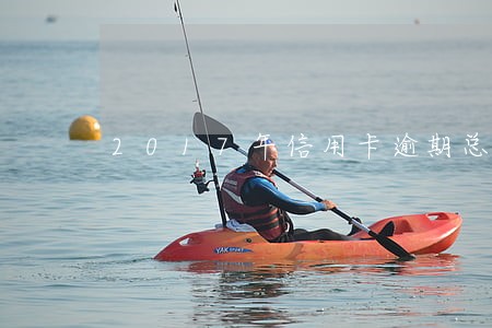 2017年信用卡逾期总数