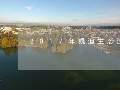 2017年凯迪生态逾期债务
