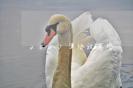 2017年协议离婚 2017年协议离婚