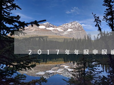 2017年年报申报逾期怎么办