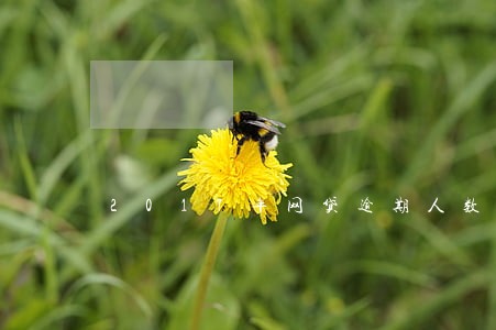 2017年网贷逾期人数