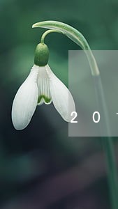 2017年花呗逾期记录怎么消 2017年花呗逾期记录怎么消
