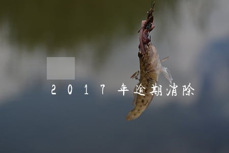 2017年逾期消除 2017年逾期消除