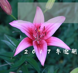 2017年逾期要到哪年才恢复 2017年逾期要到哪年才恢复