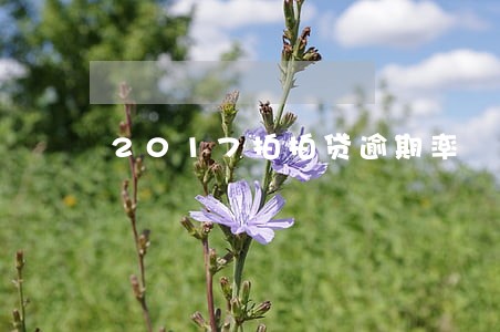 2017拍拍贷逾期率 2017拍拍贷逾期率
