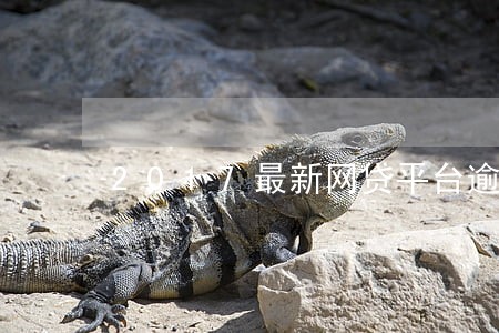 2017最新网贷平台逾期 2017最新网贷平台逾期