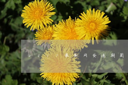 2017最新网贷逾期图片 2017最新网贷逾期图片