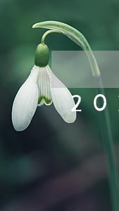 2017极速现金侠逾期 2017极速现金侠逾期