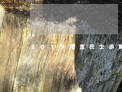 2017现金巴士逾期1年 2017现金巴士逾期1年