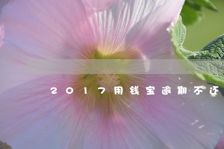 2017用钱宝逾期不还 2017用钱宝逾期不还