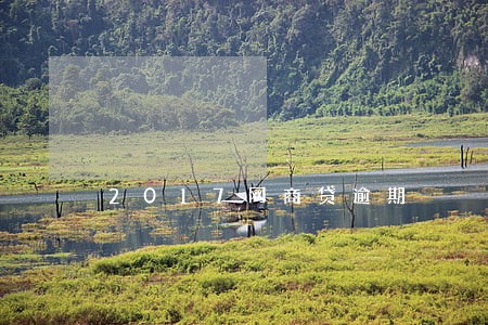 2017网商贷逾期 2017网商贷逾期