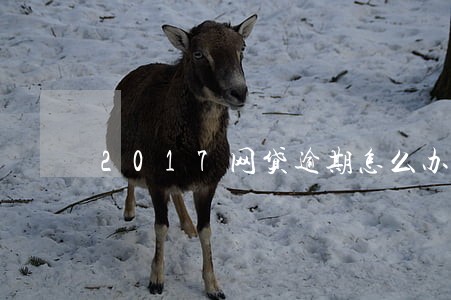 2017网贷逾期怎么办